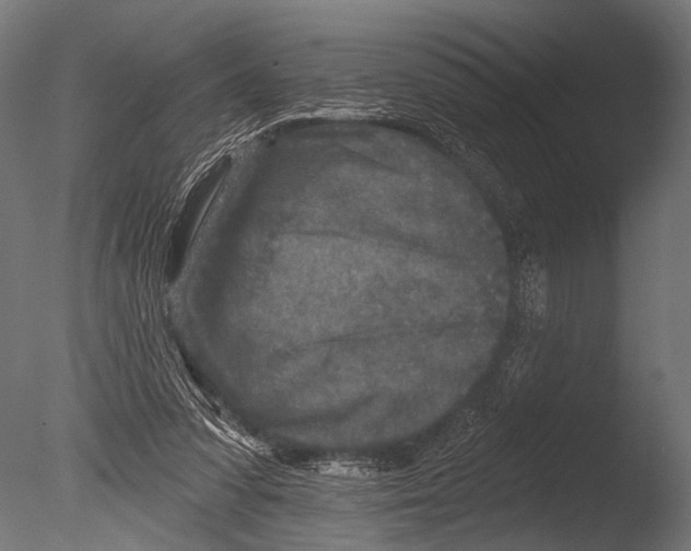 X0000085080303200703261305