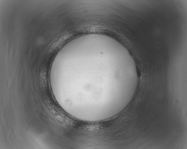 X0000085080306200703261305