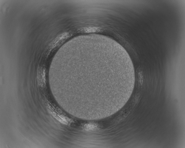 X0000085080308200703261305