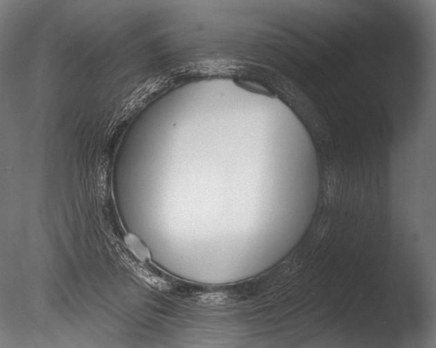 X0000085080309200703261305