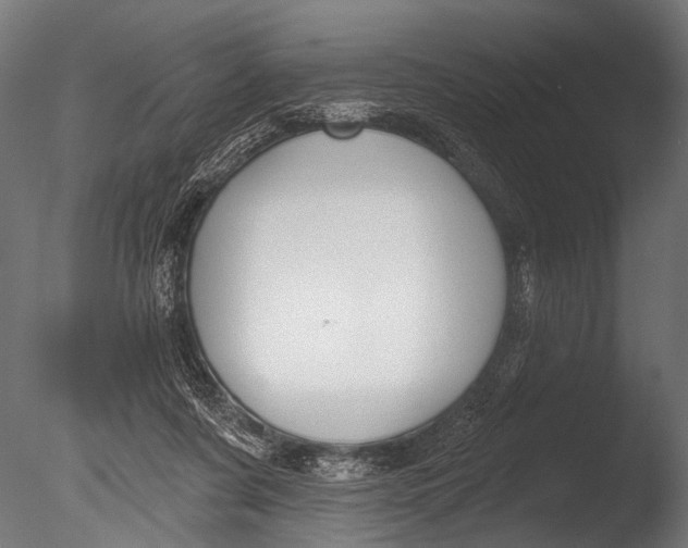 X0000085080311200703261305