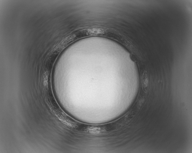 X0000085080315200703261305