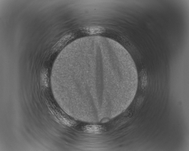 X0000085080316200703261305