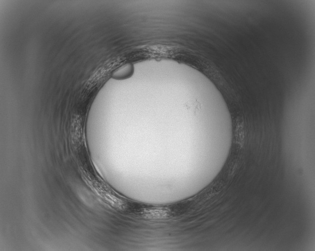 X0000085080318200703261305