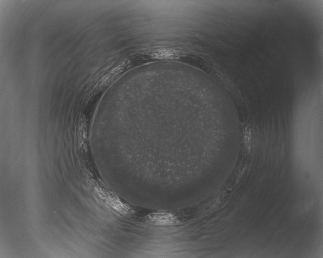 X0000085080322200703261305