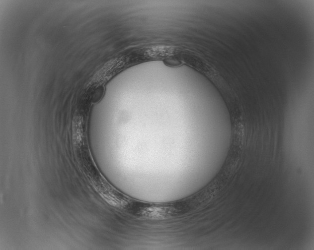 X0000085080323200703261305