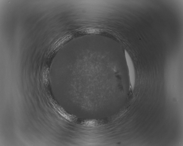 X0000085080325200703261305