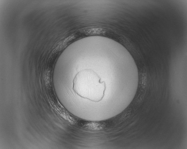 X0000085080326200703261305