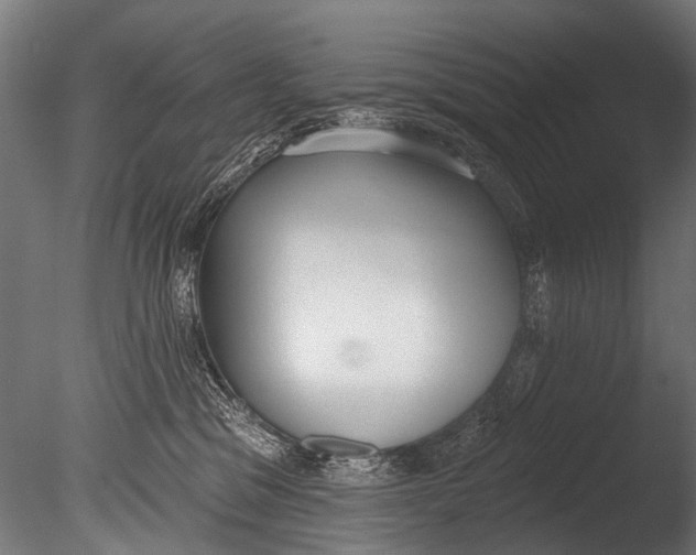 X0000085080329200703261305