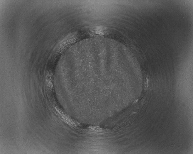 X0000085080331200703261305