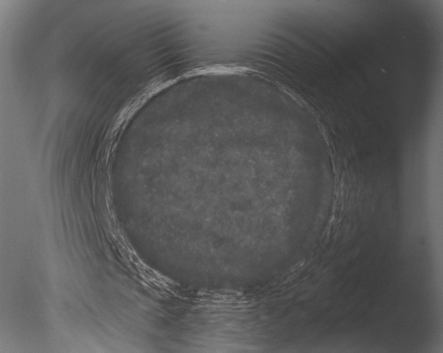 X0000085080337200703261304