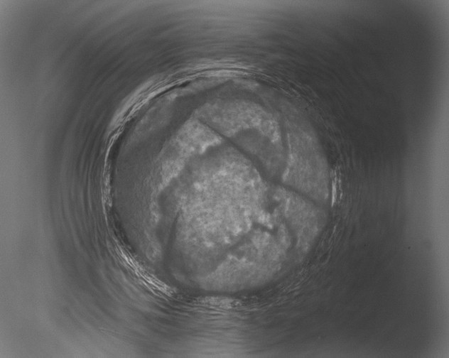 X0000085080339200703261304