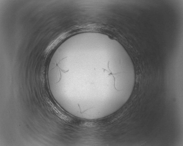 X0000085080341200703261304