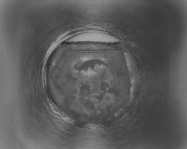 X0000085080343200703261304