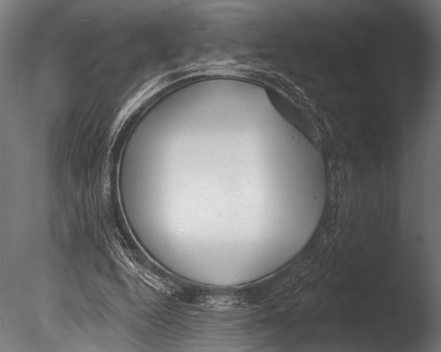 X0000085080344200703261304