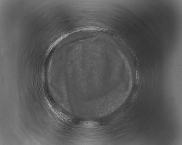 X0000085080348200703261304