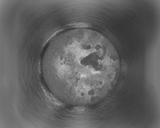 X0000085080351200703261304