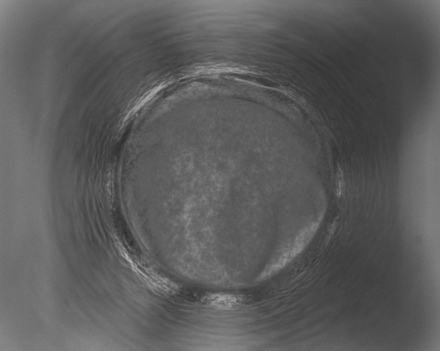 X0000085080352200703261304