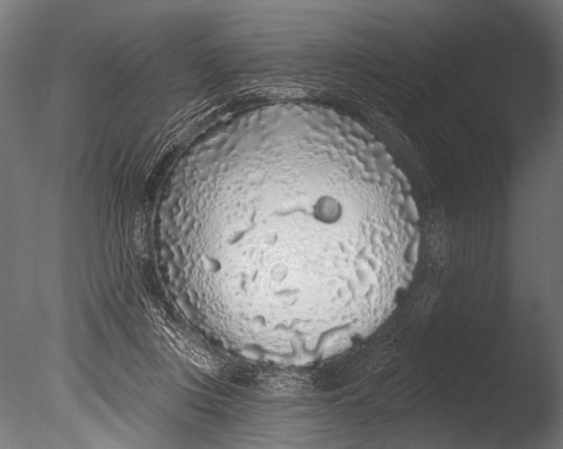 X0000085080359200703261304