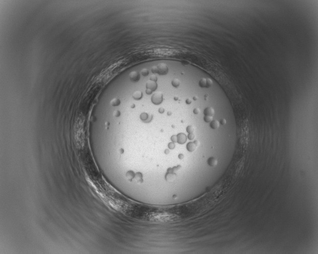 X0000085080360200703261304