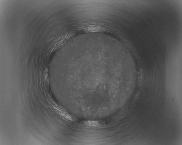 X0000085080361200703261304