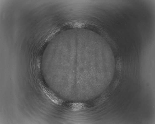 X0000085080363200703261304