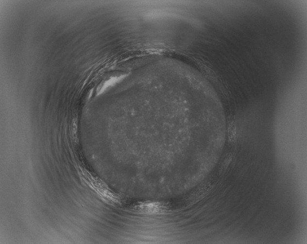 X0000085080365200703261304