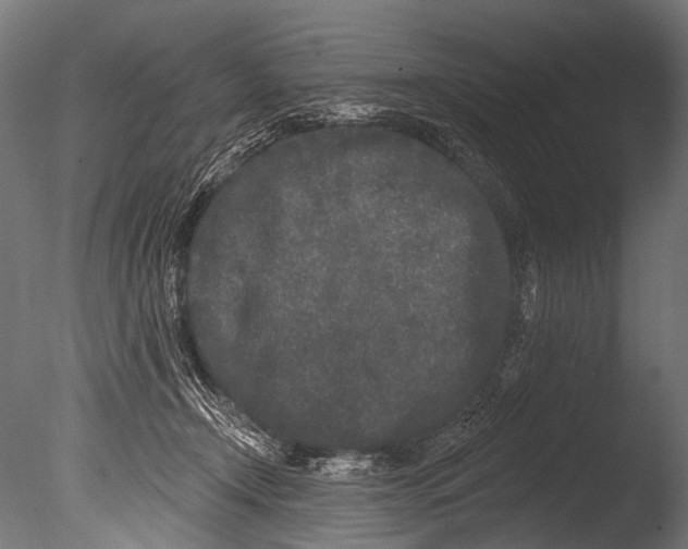 X0000085080366200703261304