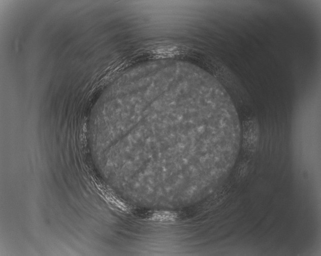 X0000085080369200703261304