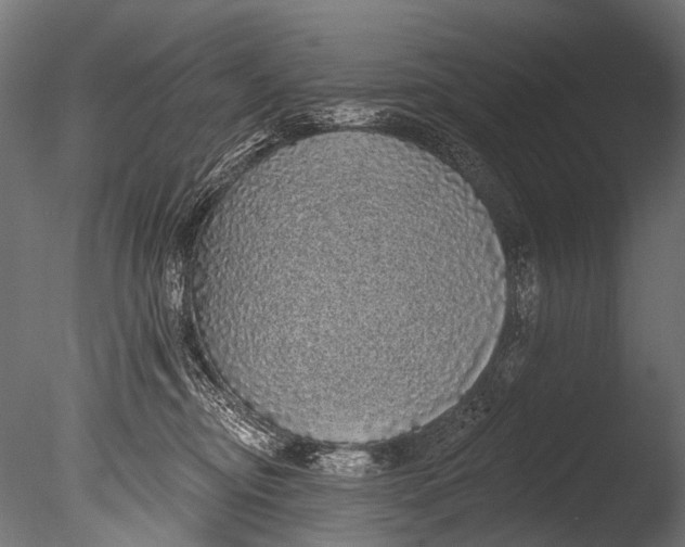 X0000085080374200703261304