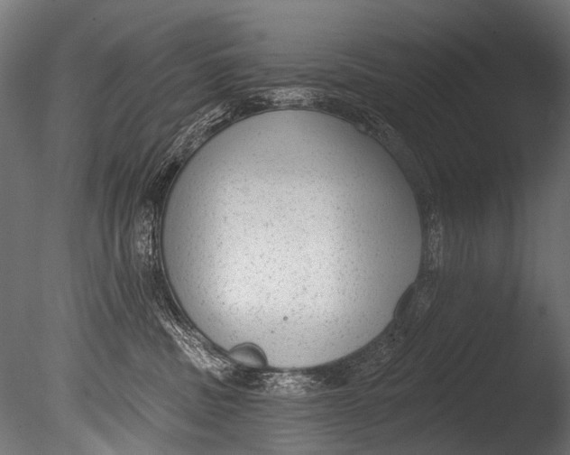 X0000085080379200703261305