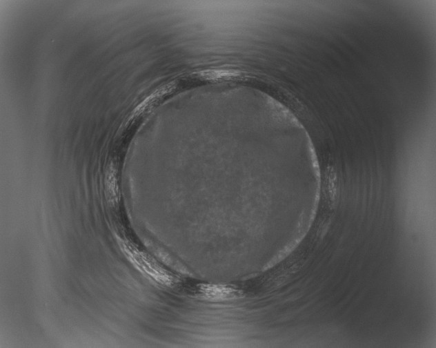 X0000085080380200703261305