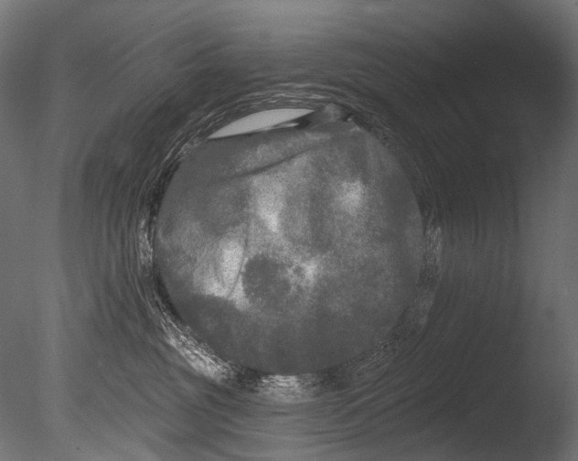 X0000085080381200703261305