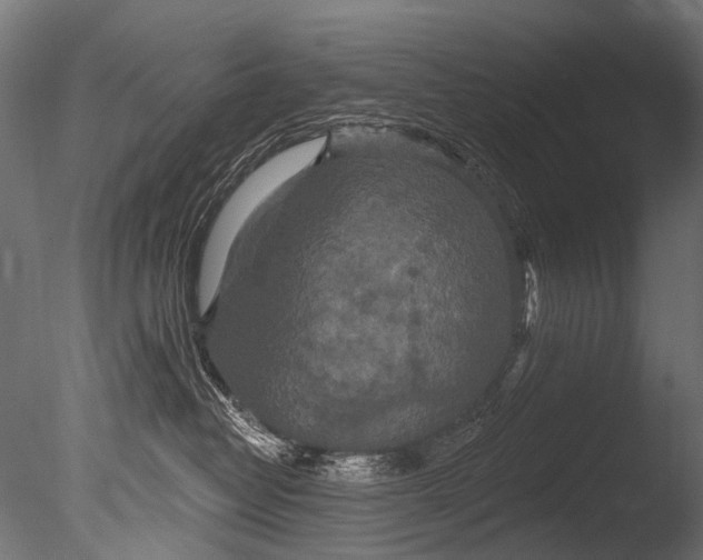 X0000085080382200703261305