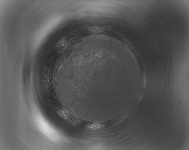 X0000085080383200703261305