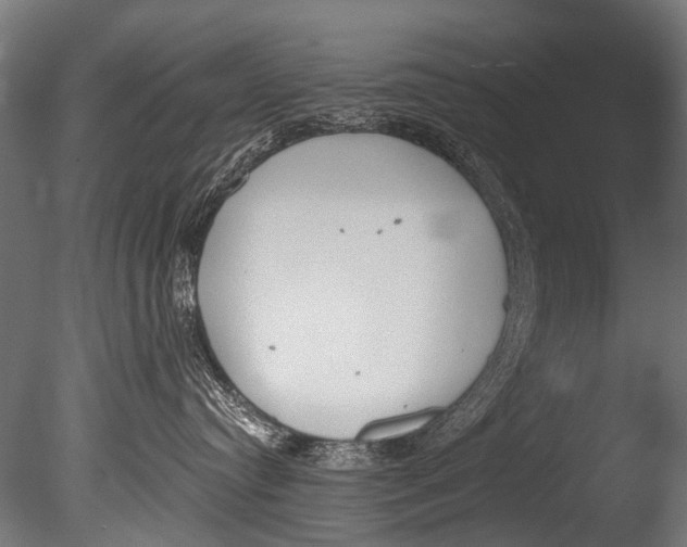 X0000085080384200703261305