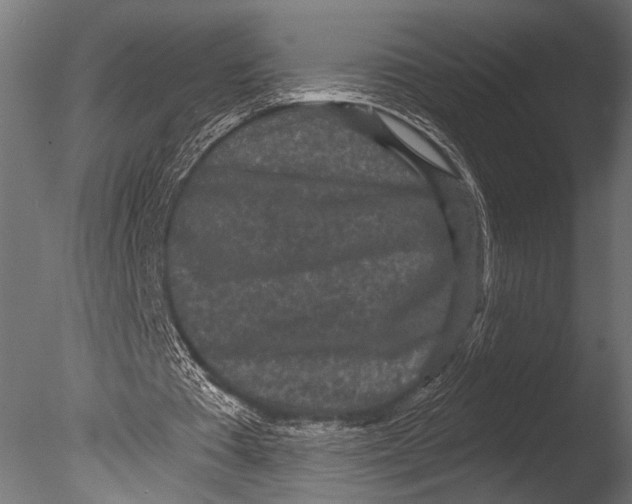 X0000085080385200703261304