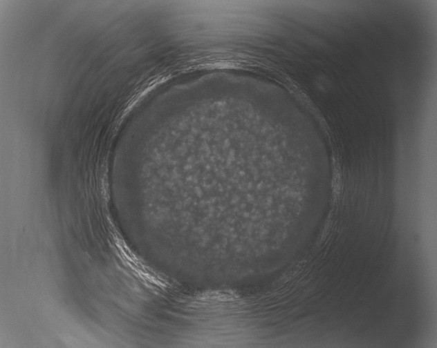 X0000085080386200703261304