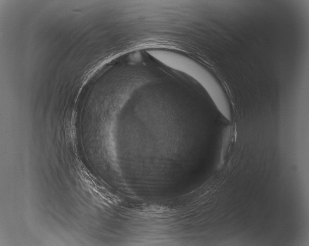 X0000085080387200703261304