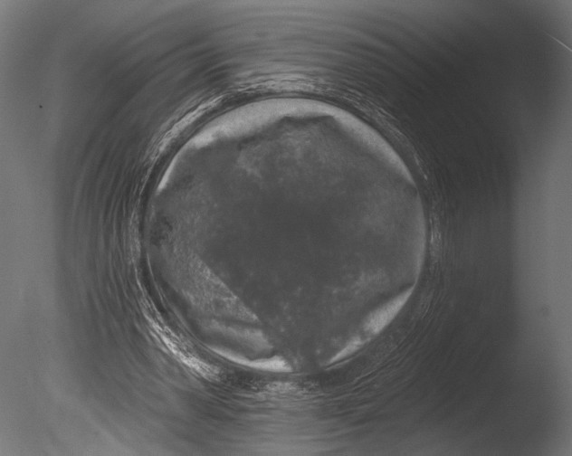 X0000085080390200703261304