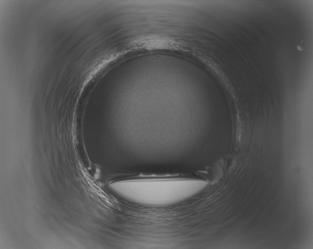 X0000085080391200703261304