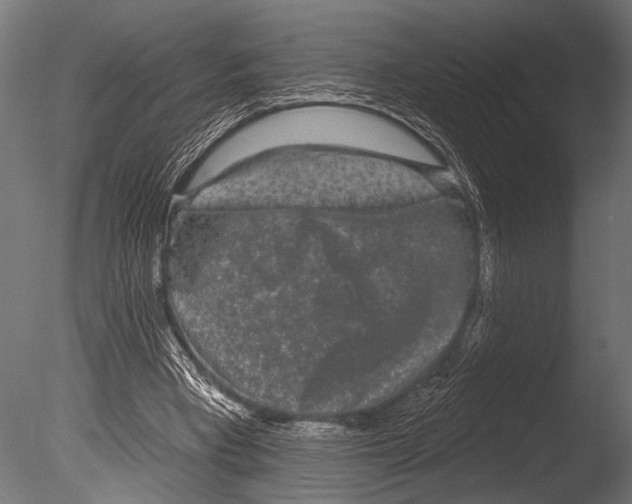 X0000085080393200703261304