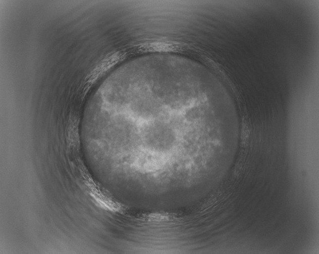 X0000085080394200703261304