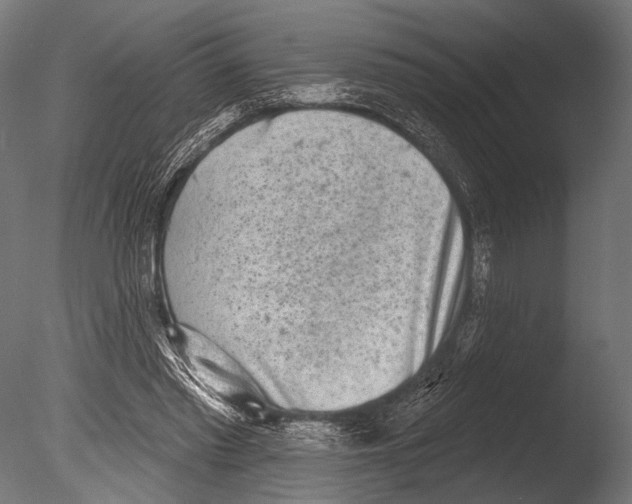 X0000085080397200703261304