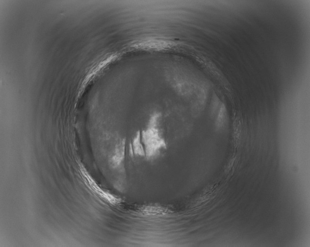 X0000085080399200703261304