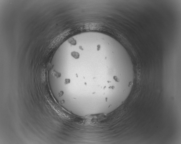 X0000085080401200703261303