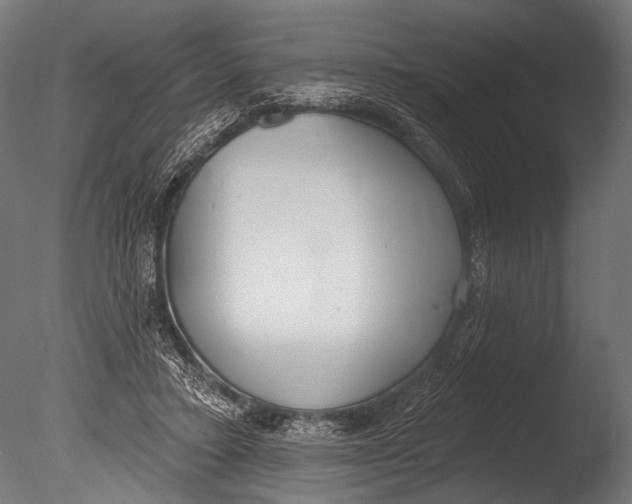 X0000085080403200703261303