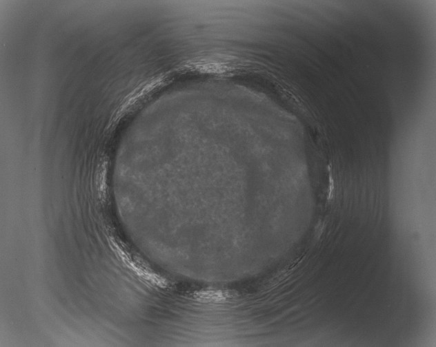 X0000085080404200703261303