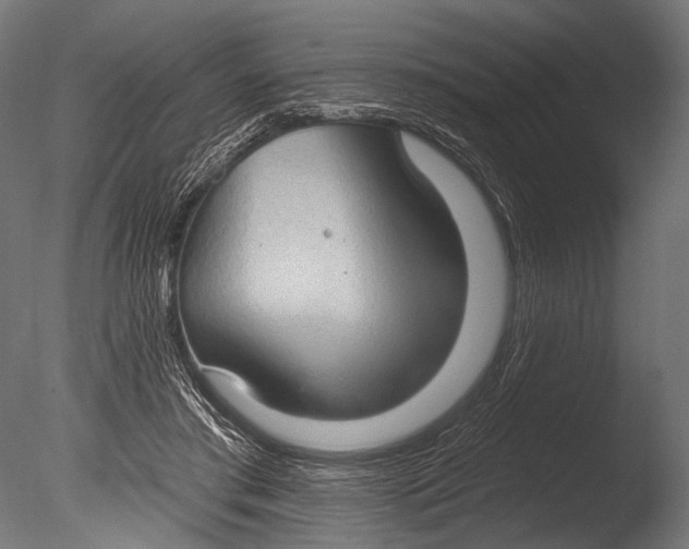 X0000085080405200703261303