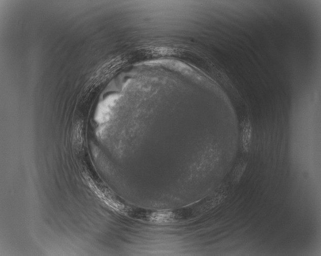 X0000085080410200703261303